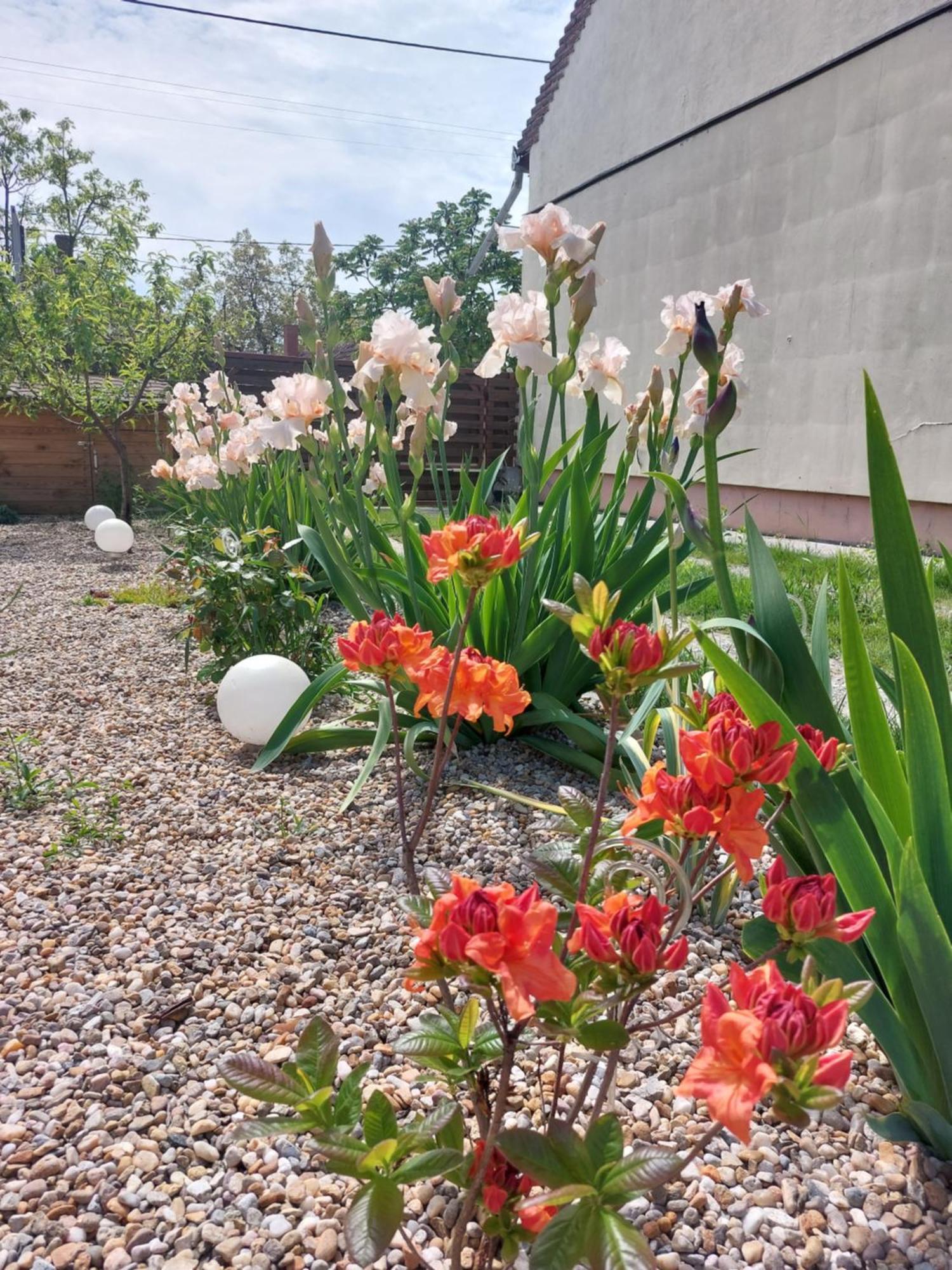 Vila Onix Sacueni Bagian luar foto